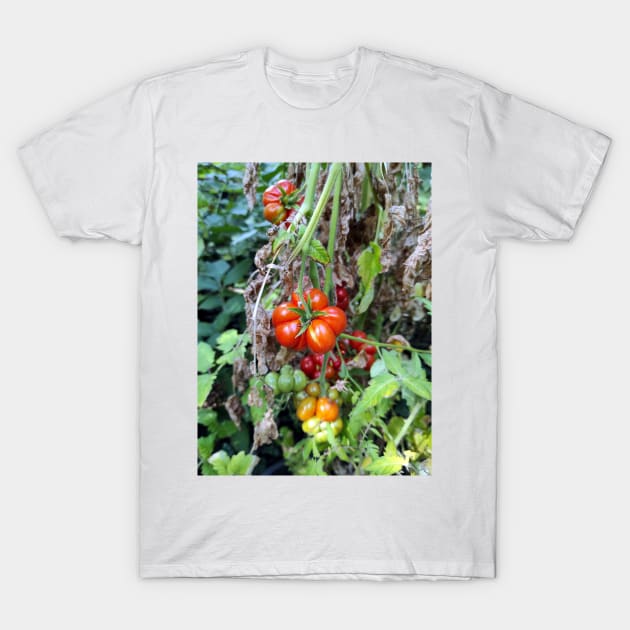 A toothed tomato T-Shirt by Gourmetkater